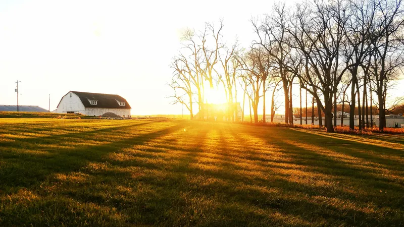 Barn Sunset Beams