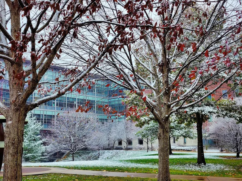 Campus Snowy Autumn