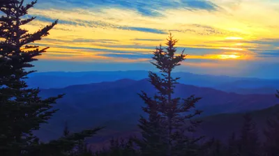 Sunset silhouette of evergreens over blue-misted ridges at Clingmans Dome (Kuwohi)