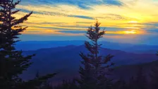 Sunset silhouette of evergreens over blue-misted ridges at Clingmans Dome (Kuwohi)