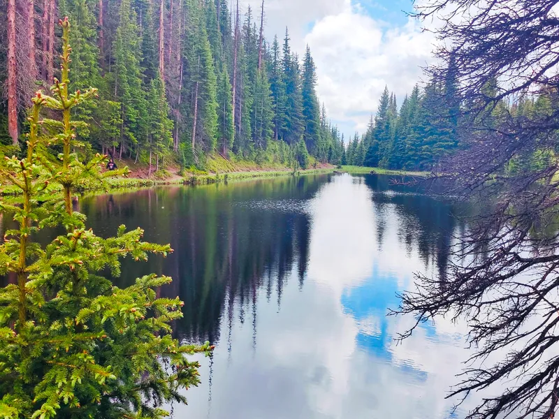 Rocky Mountain Lake