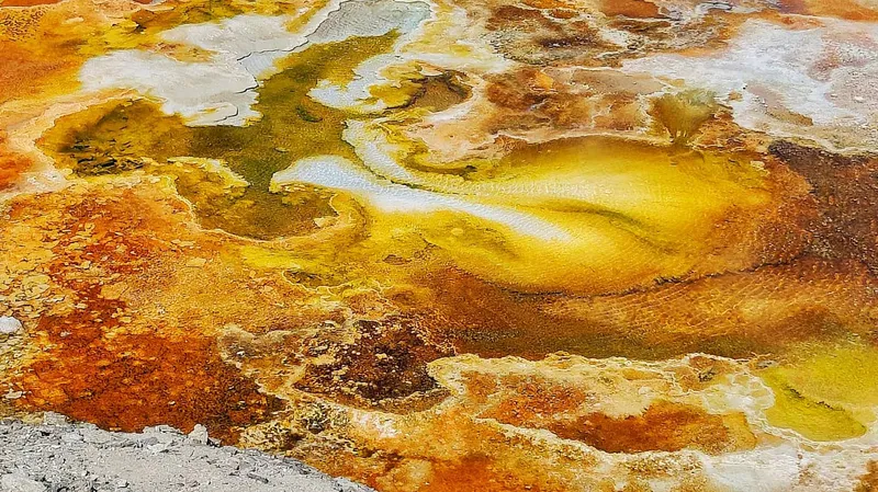 Yellowstone Hot Spring
