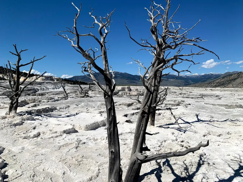 Yellowstone Mammoth Hot Springs