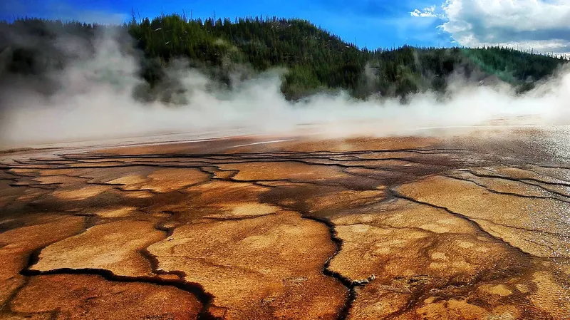 Yellowstone Steaming Geyser