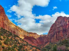 Towering red rock cliffs of Zion Canyon